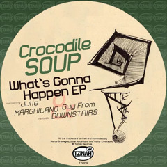 Crocodile Soup - What Is Gonna Happen (Original Mix)