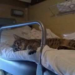 `дела поважнее - пятница