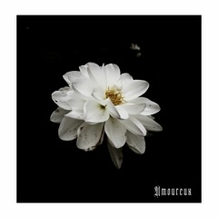 Soukah - Amoureux [OUT ON BANDCAMP]