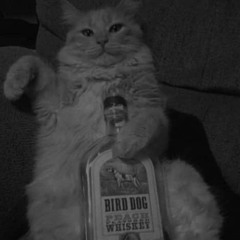 Mr Kozak - TRAP MONEY