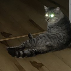 she fucking hates me