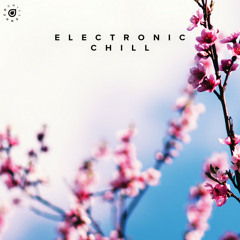 Electronic Chill