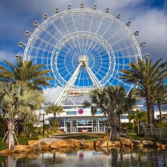 Best Things To Do On Idrive In Florida Tours Review
