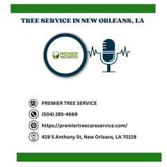 how-to-tell-if-a-tree-needs-to-be-removed-new-orleans-la