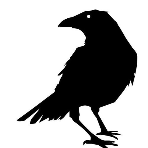 Yne - Raven ( Keep on starrin )