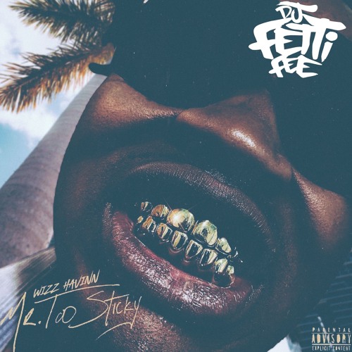 Wizz Havinn - Mode (FAST)