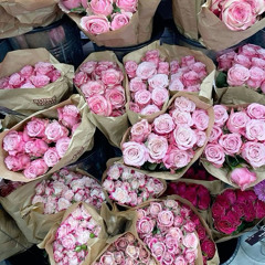 New York, May 25th 2013