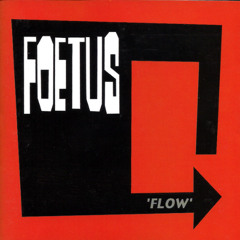 foetus - mandelay
