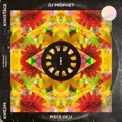 DJ Prophet - Piece Of U