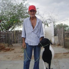 agricultor Chico Caboclo distrito Cangati Chuvas 20-01-2025
