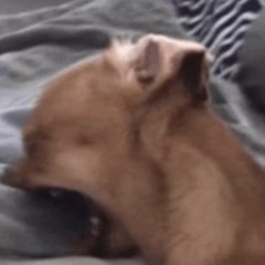 What a waste of time (Stuck in my mind)