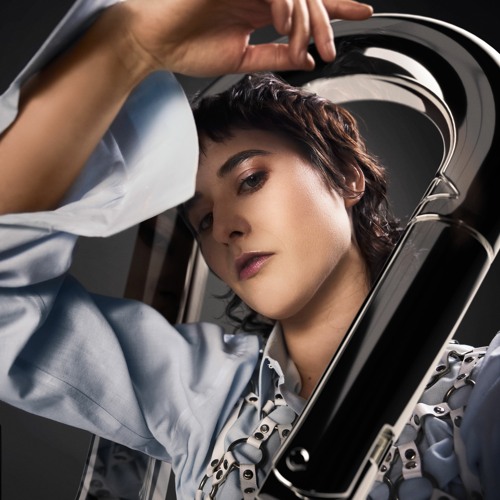 Bertie - Carabiner