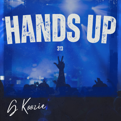 Hands Up 313