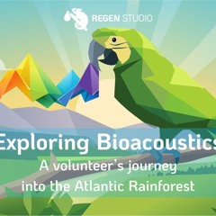 Episode 5 - An Hour Of Rainforest Sounds From Brazil