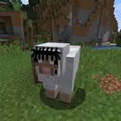 FlatBed Freestyle by mts