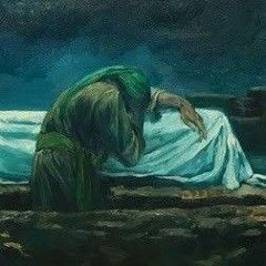فاطمتي _ سيد سلام الحسيني / ١٤٤٣ هـ