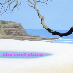 The Cool Place