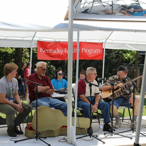 Stream Stan, Jimmy And Todd Playing At The Horse Cave Heritage Festival