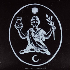 PREMIERE: Gentian - Everyone But You [KVLTÖ]