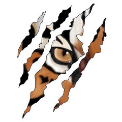 Paper Tigers