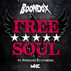 Free Soul (feat. Stefanie Eulinberg)
