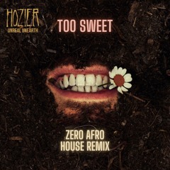 Hozier - Too Sweet (ZERO Afro House Remix) Filtered