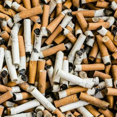 COLILLA DE CIGARRO (vendida)