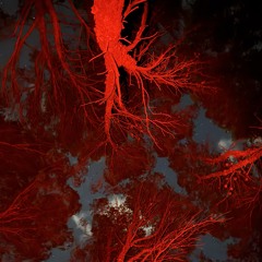 Disco Prohibido 02 (2024 Summer Nostalgia)