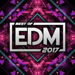 The Best Edm/Remixes /Mashups