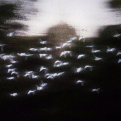 i lost m life (prod. iPod+koi)