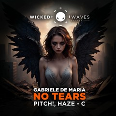 Gabriele De Maria - No Tears (Haze - C Remix) [Wicked Waves Recordings]