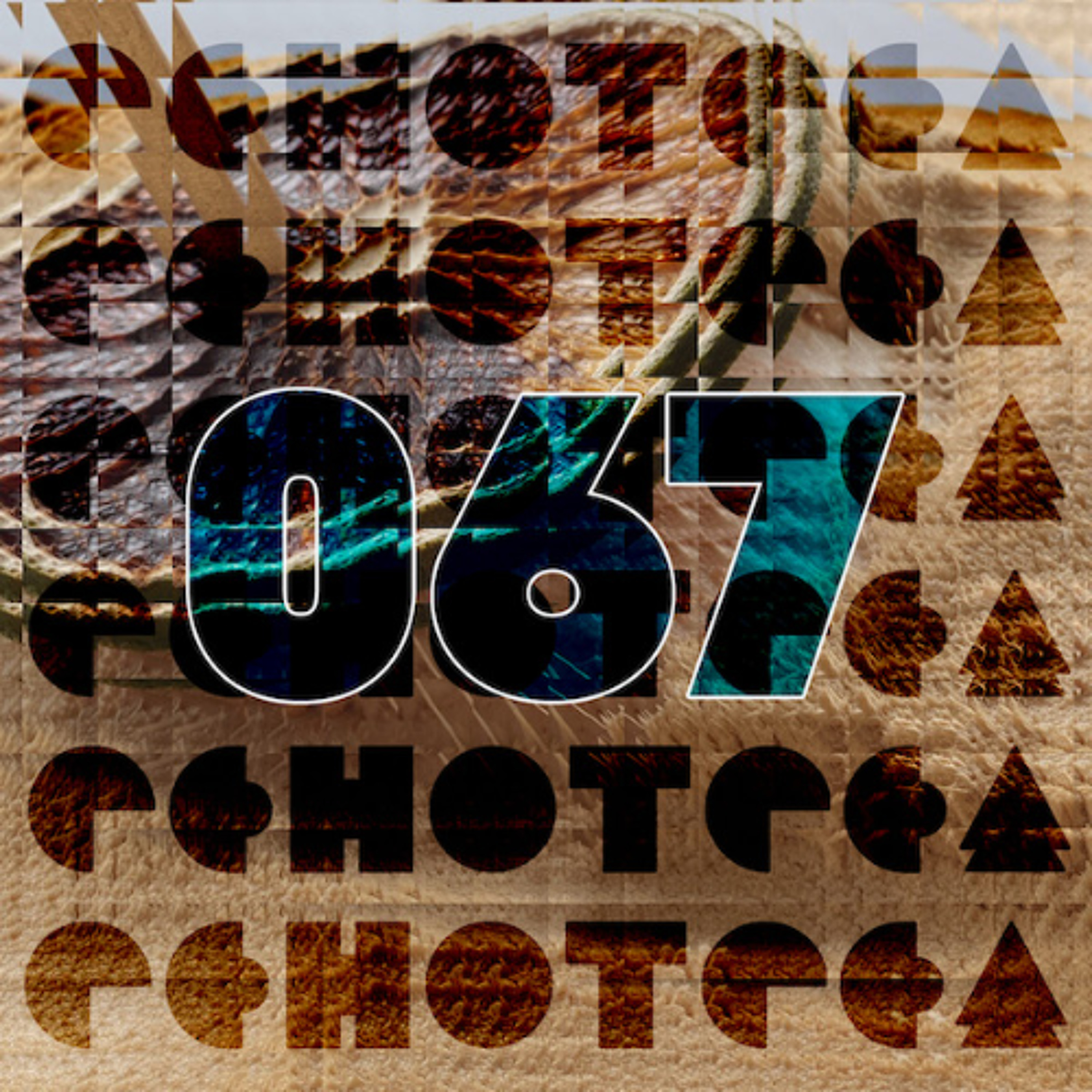 Echoteca: Echoes of Coconut – Francesca Lombardo episode artwork