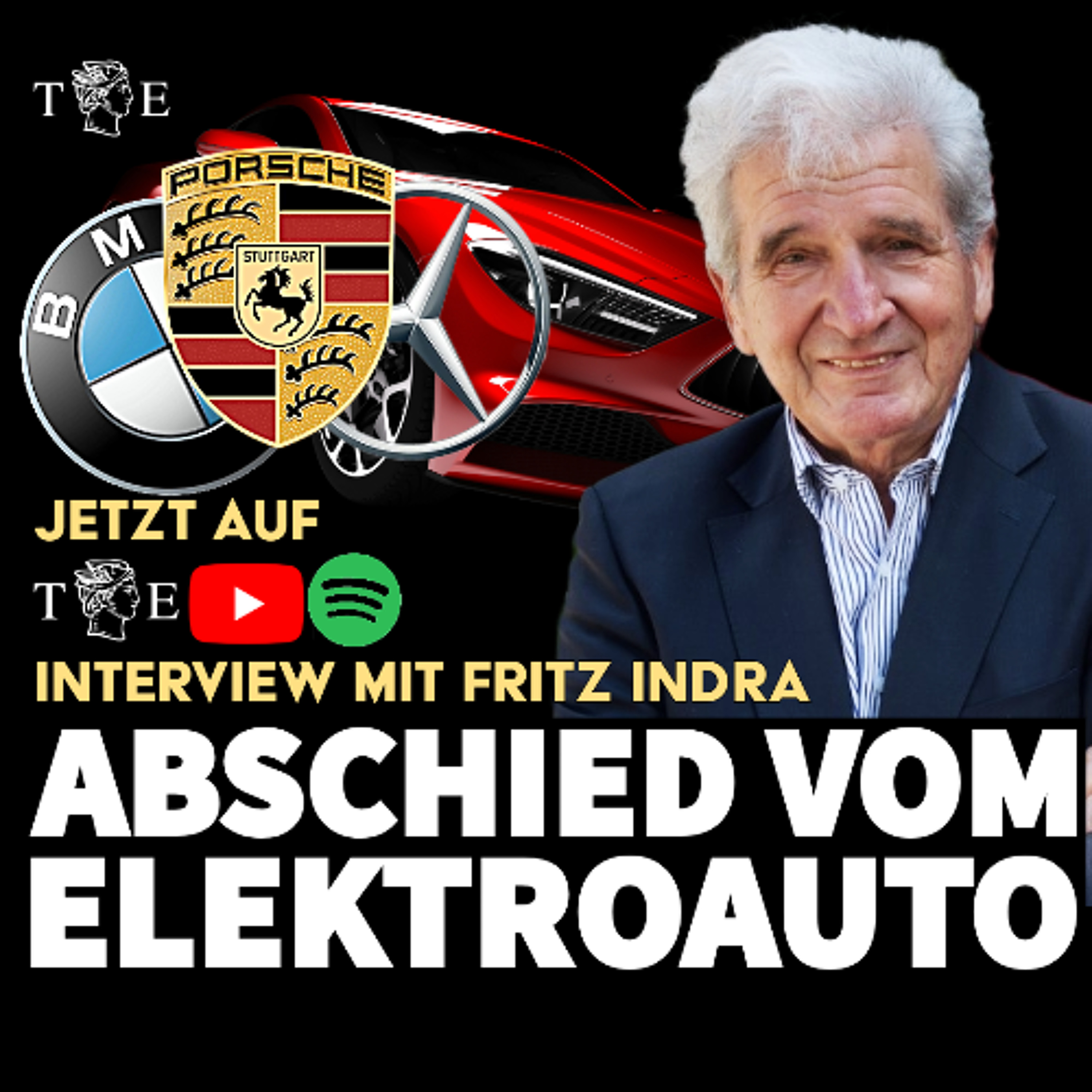 Autobauer kehren zurück zum Verbrenner: "Elektroautos sind ein Irrweg", so Fritz Indra