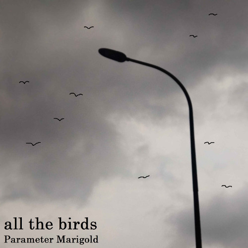 all the birds
