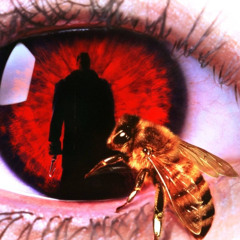 Candyman freestyle