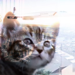 godceleste - FLIGHT++