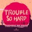 Trouble So Hard-Le Pedre, DJs From Mars, Mildenhaus (TH3K3MST3R Remix)