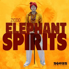 ZIDDO - Elephant Spirits (Original Mix) - OUT 26/MAY/2023