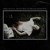 Artwork for Silent Skin, in Dreams Dissolving