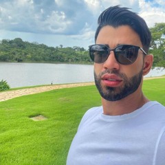 SABE DE QUEM EU LEMBREI GUSTAVO LIMA CÁ VS ELA QUER FUDER COMIGO [ DJ PK O ÚNICO ] FUNK TIK TOK