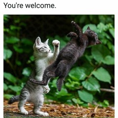 0202 - Big Bonehead - 1