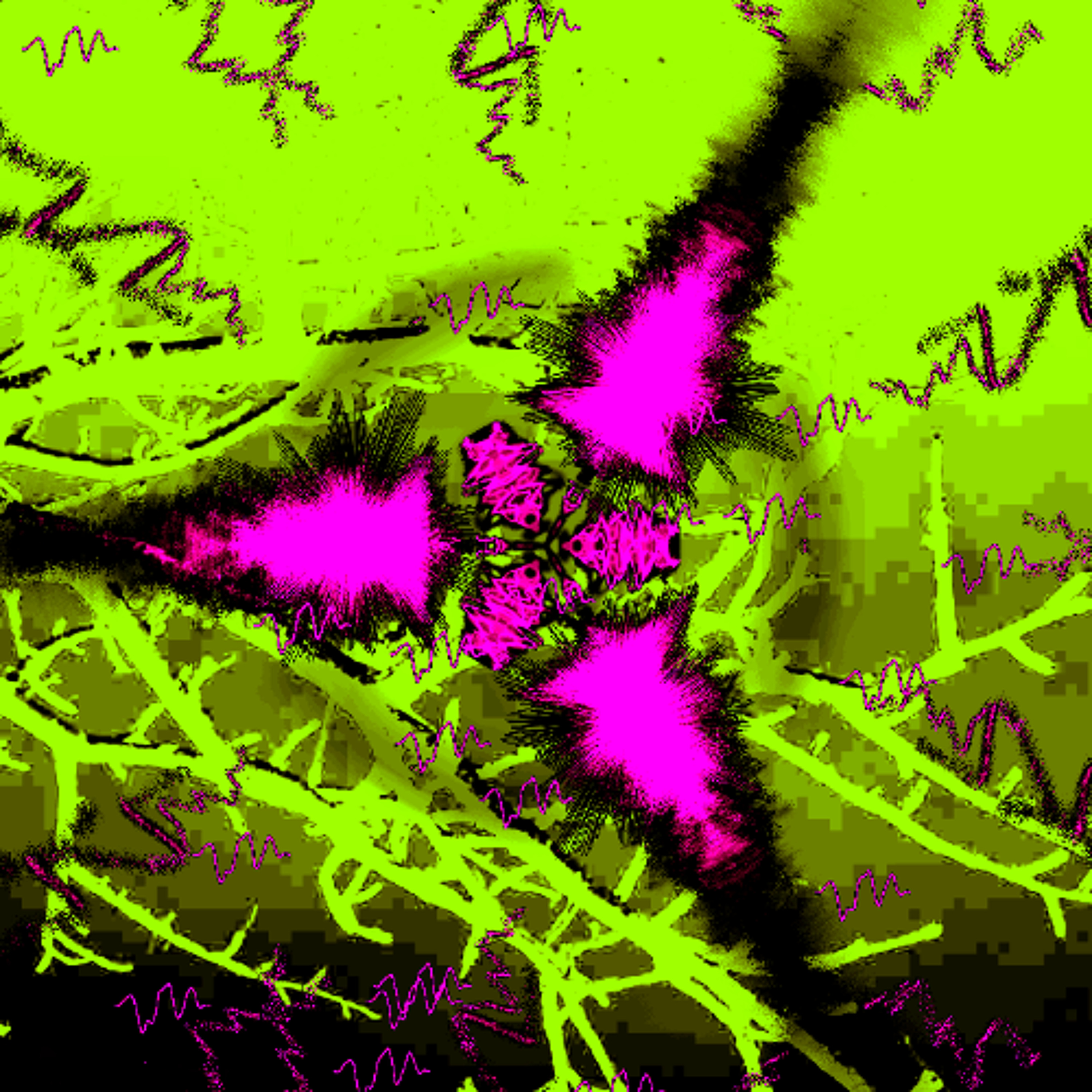 PLATO & the Western Tradition