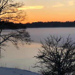 Žiemos pasaka- Artist of life JM