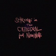 Shrooms in the Cathedral feat. Alan Watts