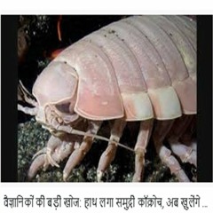 என்ன