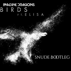 Imagine Dragons - Birds (snude Bootleg)