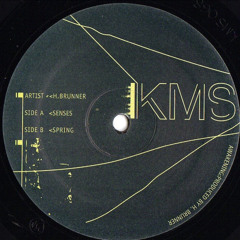 Senses (Extended Mix)