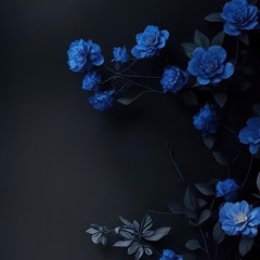 Harmony