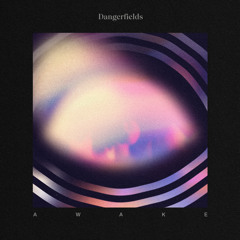 Dangerfields - Awake