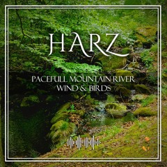 NaturalPark Harz Forest Spring Water River Birds EarsTree.WAV